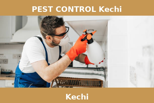 PEST CONTROL Kechi